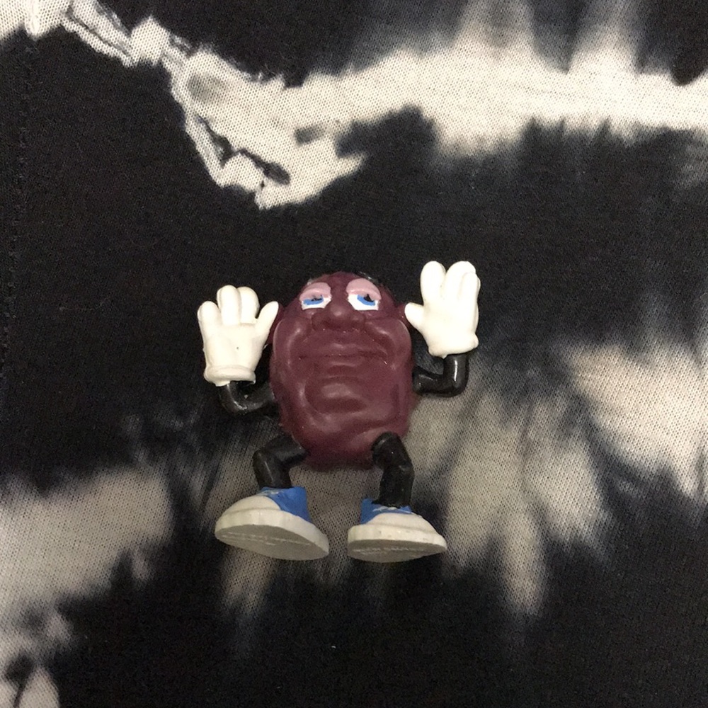 California Raisins - Picture 11 of 16